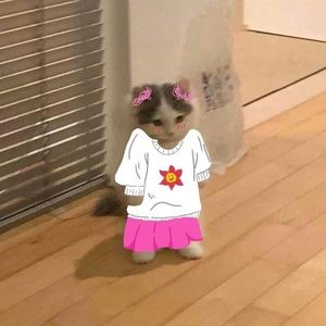 Meet your Posher, Ashton